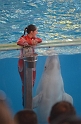 Kids_SeaWorldSA-2013 (280)